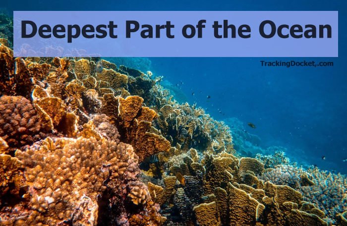 deepest part of the ocean
