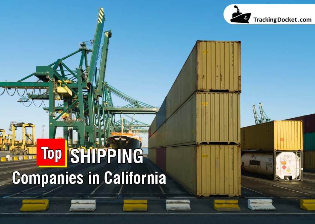 Shipping Companies Stock